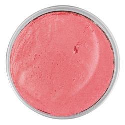 Snazaroo Colore ROSA Viso Scintilla Fard Grande 18 ml