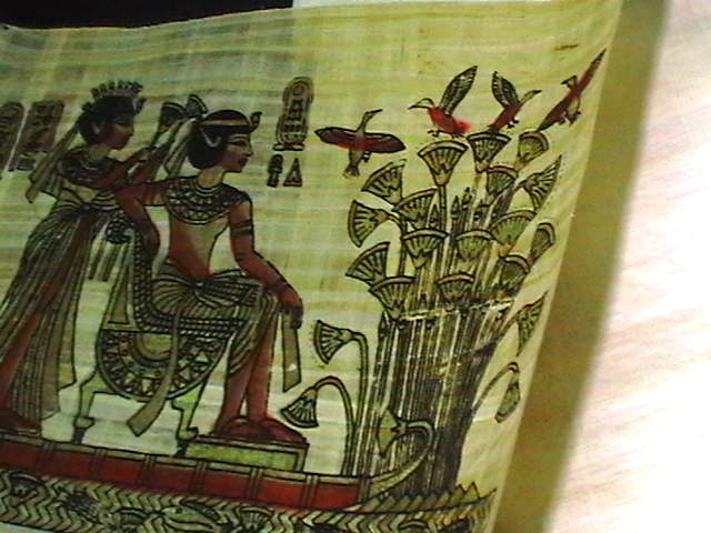 foglio papiro siracusano