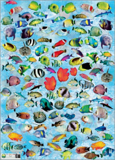 Carta per decoupage mis. 50x70 - fig.116 pesci