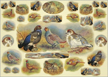 Carta per decoupage mis. 50x70 - fig.110 uccelli