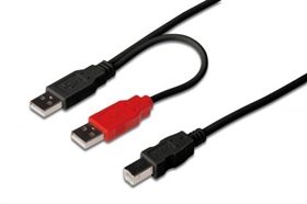 CAVO DUPLICATORE PRESA USB Power