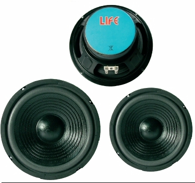 clicca qui per rientrare su WOOFER 25CM 4 OHM 250W MAX