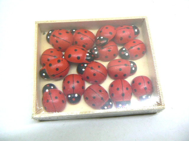 16 coccinelle in legno con scatola 