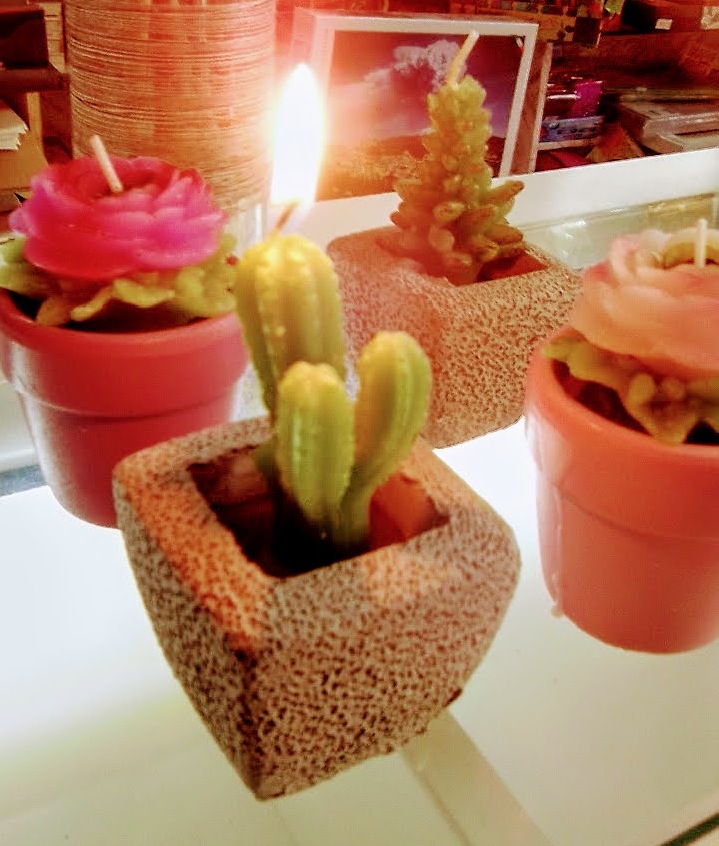 clicca su immagine per consultare dettagli, vedere altre foto e ordinare 1 Candela Decorativa GADEN e CACTUS (assortimento non selez)