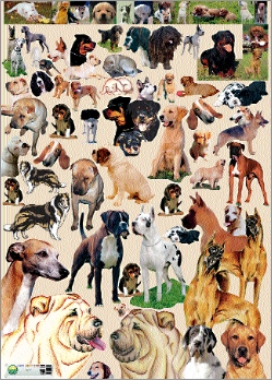 Carta per decoupage fig.137 - Figure Cani varie razze